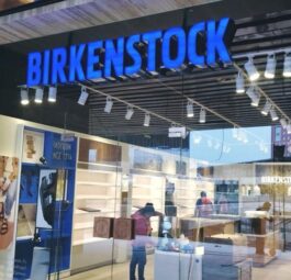 brikenstock-case